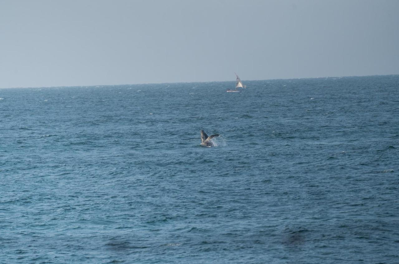 Los Corales Máncora Dış mekan fotoğraf